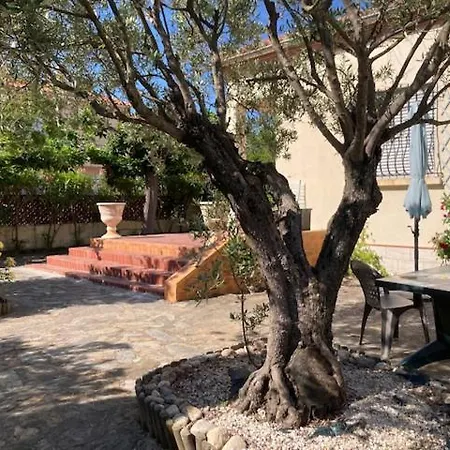 וילה A L'ombre Des Muriers - Grande Avec 3 Grandes Terrasses A 2 Pas De La Et Du Port סן סיפריאן